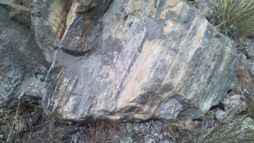 Гигантские зелёные валуны для ландшафтного дизайна весом более 5 тонн купить в Красноармейске